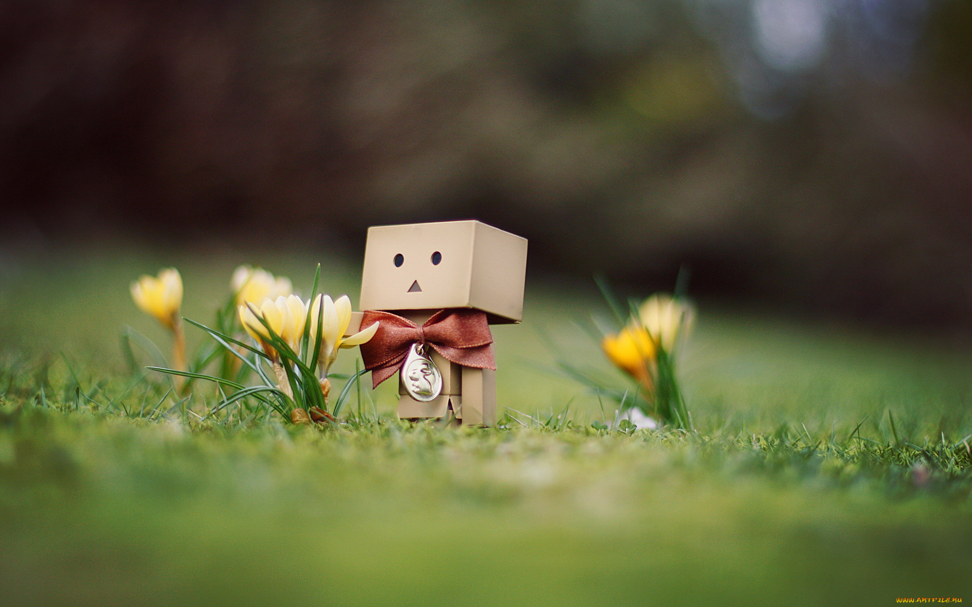 , , danboard, , 